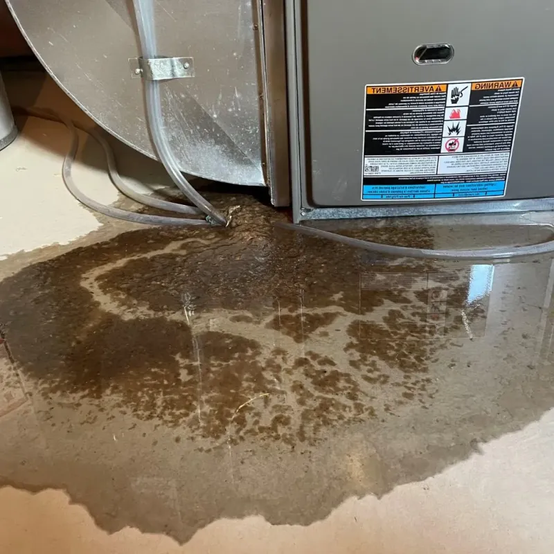 Pipe Burst and Leak Restoration in Meadowood, PA